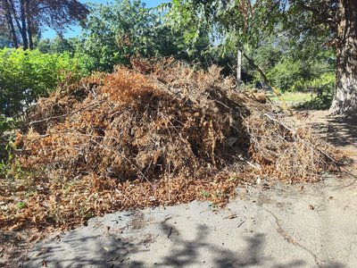 Вот так сегодня выглядит улица Народная в районе домов 2 и 4 (женская консультация) — фото 9