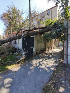 Вот такие огромные деревья нависают после июльского урагана прямо над тротуаром по улице Ларина, ... — фото 4