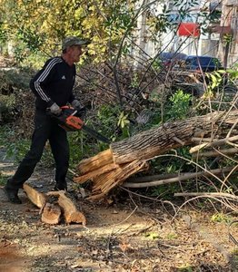 В Новочеркасске уже второй день разгребают остатки поваленных деревьев на улице Комитетской — фото 7