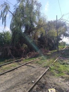 В Новочеркасске на улице Войкова в районе Новосёловки по-прежнему отсутствует уличное освещение