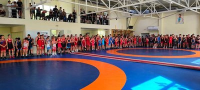 В Новочеркасске прошли открытые областные соревнования по греко-римской борьбе среди юношей... — фото 6