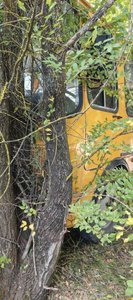 ⚡В Ключевом школьники остались без автобуса из-за потасовки — фото 4