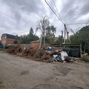 На углу улиц Аксайской и Пушкинской в Новочеркасске образовалась свалка возле контейнерной площадки — фото 2