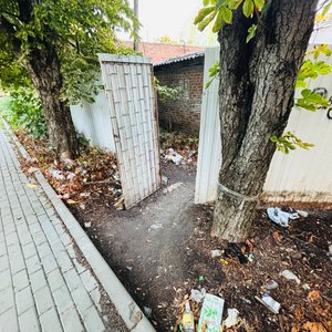 Жители Новочеркасска пожаловались на захламлённую территорию между зданиями магазинов на улице... — фото 3