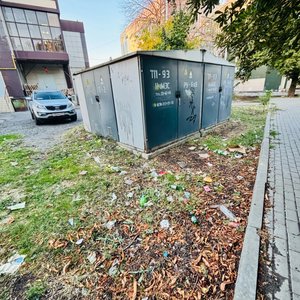 Жители Новочеркасска пожаловались на захламлённую территорию между зданиями магазинов на улице... — фото 4