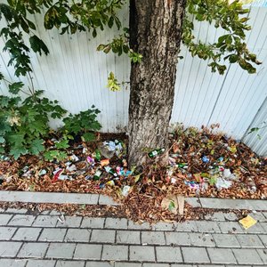 Жители Новочеркасска пожаловались на захламлённую территорию между зданиями магазинов на улице... — фото 5