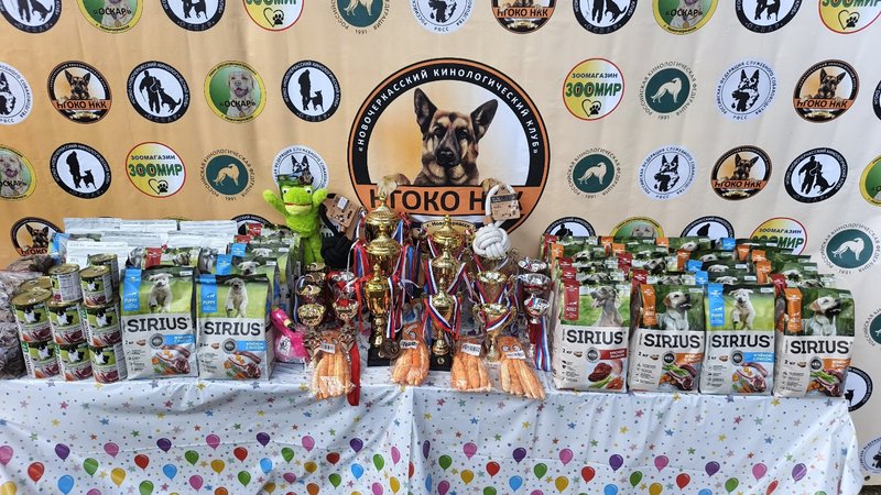 🐾 Весёлые старты в честь 117‑летия кинологической службы: итоги соревнований! 🐾