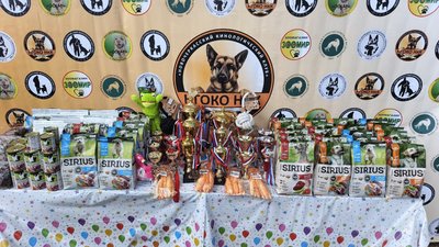 🐾 Весёлые старты в честь 117‑летия кинологической службы: итоги соревнований! 🐾 — фото 10