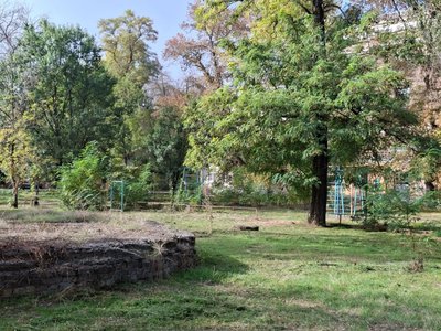 В Новочеркасске привели в порядок сквер имени Аверкиева — фото 5