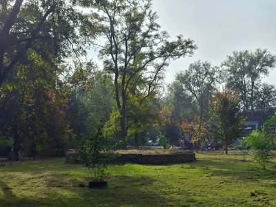В Новочеркасске привели в порядок сквер имени Аверкиева — фото 6