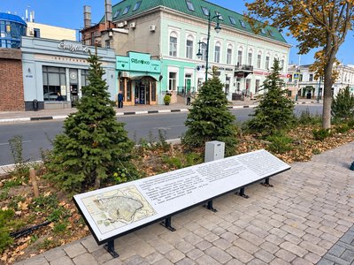 На Платовском высадили ели вместо выбранных жителями сосен — фото 7