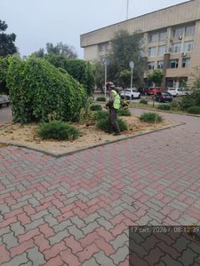 В центре Новочеркасска идёт активная осенняя уборка — фото 2