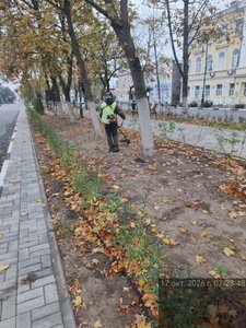 В центре Новочеркасска идёт активная осенняя уборка — фото 3