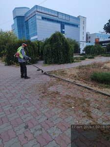 В центре Новочеркасска идёт активная осенняя уборка — фото 5