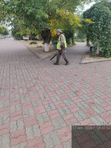 В центре Новочеркасска идёт активная осенняя уборка — фото 9