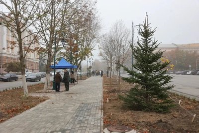 Губернатор Ростовской области высадил деревья на Платовском проспекте в Новочеркасске — фото 2
