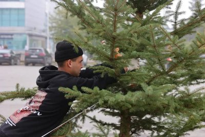 Губернатор Ростовской области высадил деревья на Платовском проспекте в Новочеркасске — фото 4