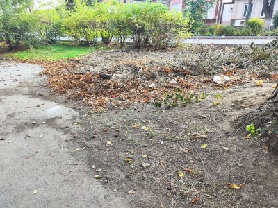На улице Народной в районе домов номер 2 и 4 навели порядок на газоне — фото 5