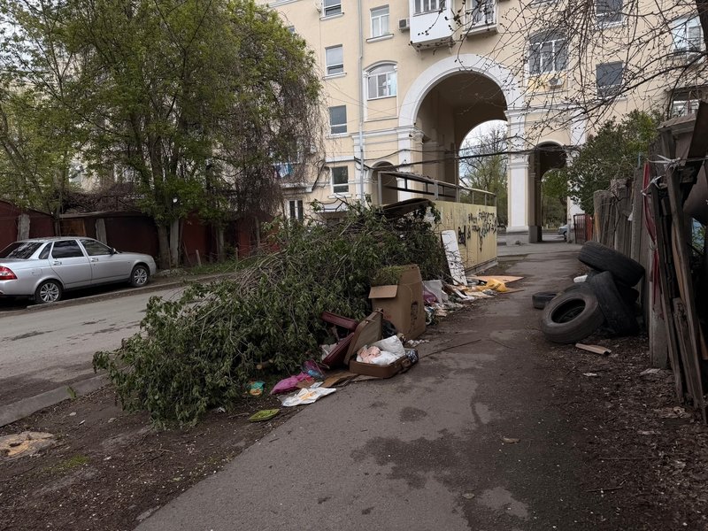 Жители улицы Троицкой обращают внимание на горы мусора вокруг контейнерных площадок — фото 1