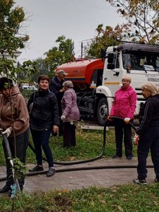 В Новочеркасске на аллее Славы высадили 50 клёнов и установили памятную табличку — фото 2