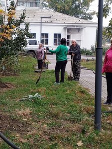 В Новочеркасске на аллее Славы высадили 50 клёнов и установили памятную табличку — фото 3