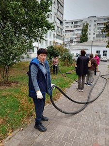 В Новочеркасске на аллее Славы высадили 50 клёнов и установили памятную табличку — фото 5