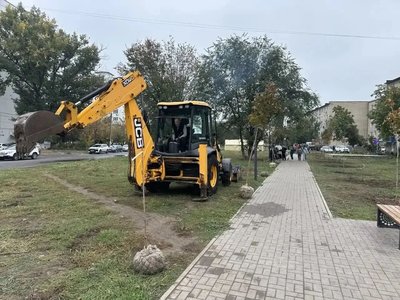 В Новочеркасске на аллее Славы высадили 50 клёнов и установили памятную табличку — фото 7
