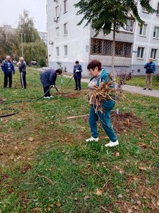 В Новочеркасске на аллее Славы высадили 50 клёнов и установили памятную табличку — фото 8