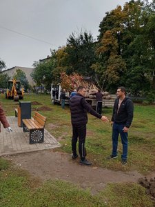В Новочеркасске на аллее Славы высадили 50 клёнов и установили памятную табличку — фото 10