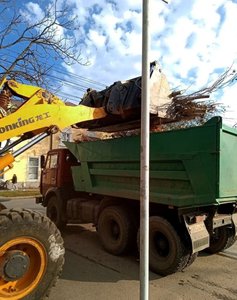 🌳 В Новочеркасске продолжают убирать спиленные ветки и остатки деревьев — фото 2