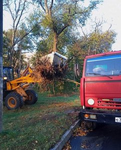 🌳 В Новочеркасске продолжают убирать спиленные ветки и остатки деревьев — фото 4