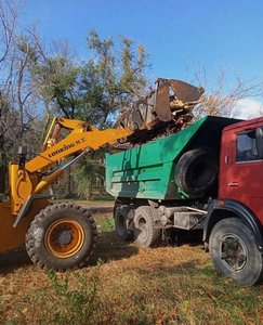 🌳 В Новочеркасске продолжают убирать спиленные ветки и остатки деревьев — фото 5