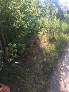 Новость от подписчика: — фото 2