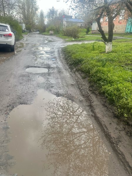 Жители улицы Северной также просили передать привет Департаменту ЖКХ и своему депутату Виктору... — фото 2