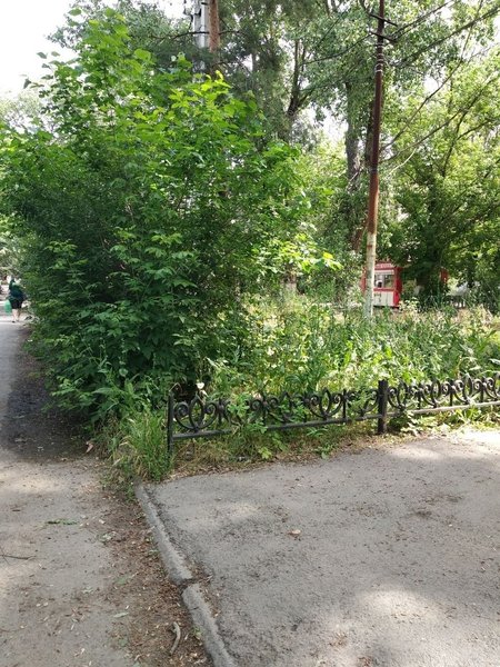 В центре Соцгорода, возле школы №31 им
