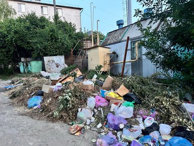В Новочеркасске уже несколько месяцев растет очередная стихийная свалка