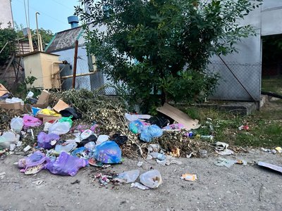 В Новочеркасске уже несколько месяцев растет очередная стихийная свалка — фото 2
