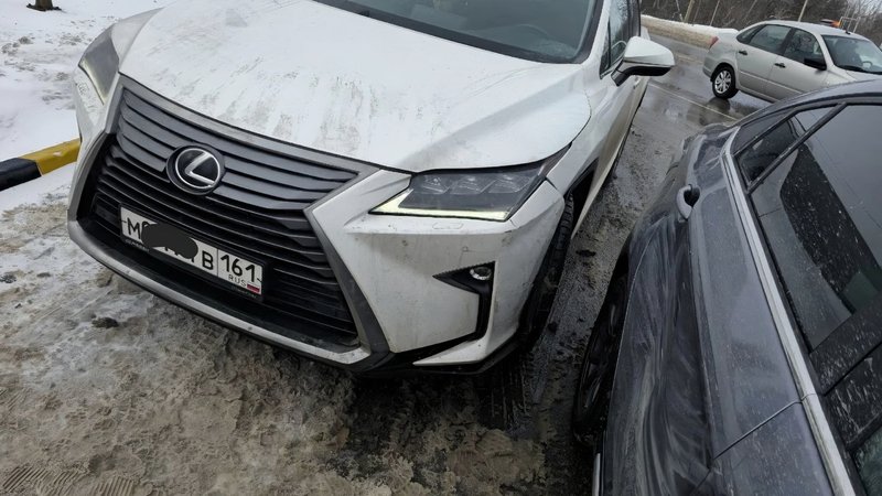 Нашли друг друга — фото 3