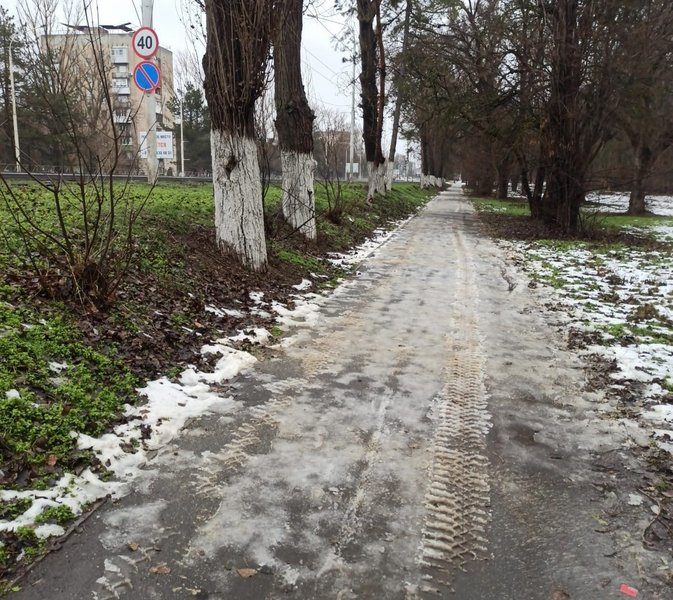 Муниципальная техника была замечена на тротуаре в роще — фото 1