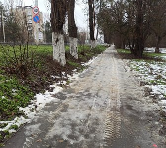 Муниципальная техника была замечена на тротуаре в роще