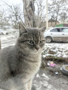 Потеряшка на Фрунзе
