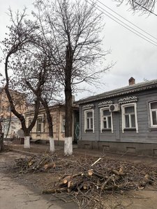 Депутат Герман Запорожченко сообщил об опиловке деревьев в округе №8 Новочеркасска