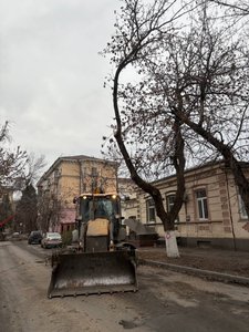 Депутат Герман Запорожченко сообщил об опиловке деревьев в округе №8 Новочеркасска — фото 3