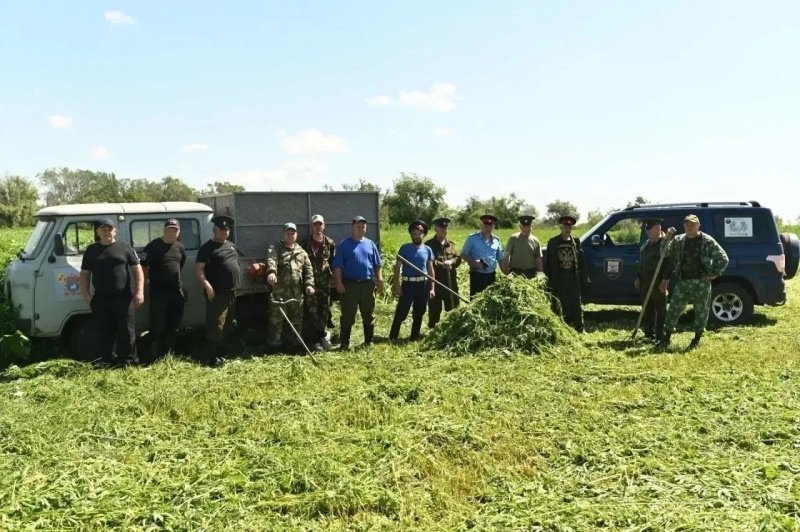 Дорогие друзья, помогите найти кота, откликается на кличку «Тоби», пропал в районе хотунка  ул — фото 2