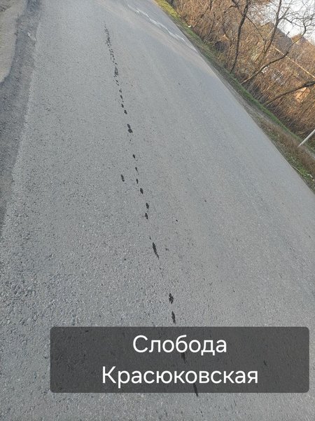 🚨 Наши подписчики снова бьют тревогу! Сегодня к нам поступили свежие фотографии  мостика на улице... — фото 8