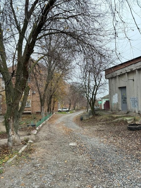Депутат Павел Лебедев по просьбе своих избирателей помог устранить опасные деревья в Новочеркасске — фото 2