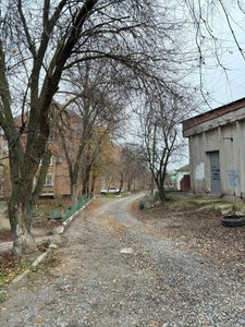 Депутат Павел Лебедев по просьбе своих избирателей помог устранить опасные деревья в Новочеркасске — фото 2