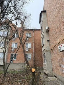 Депутат Павел Лебедев по просьбе своих избирателей помог устранить опасные деревья в Новочеркасске — фото 3