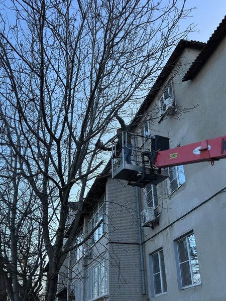 Депутат Павел Лебедев по просьбе своих избирателей помог устранить опасные деревья в Новочеркасске — фото 4