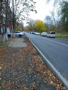 Ямы вместо тротуаров: на улице Бердичевского в Новочеркасске пешеходов ждет опасная зима